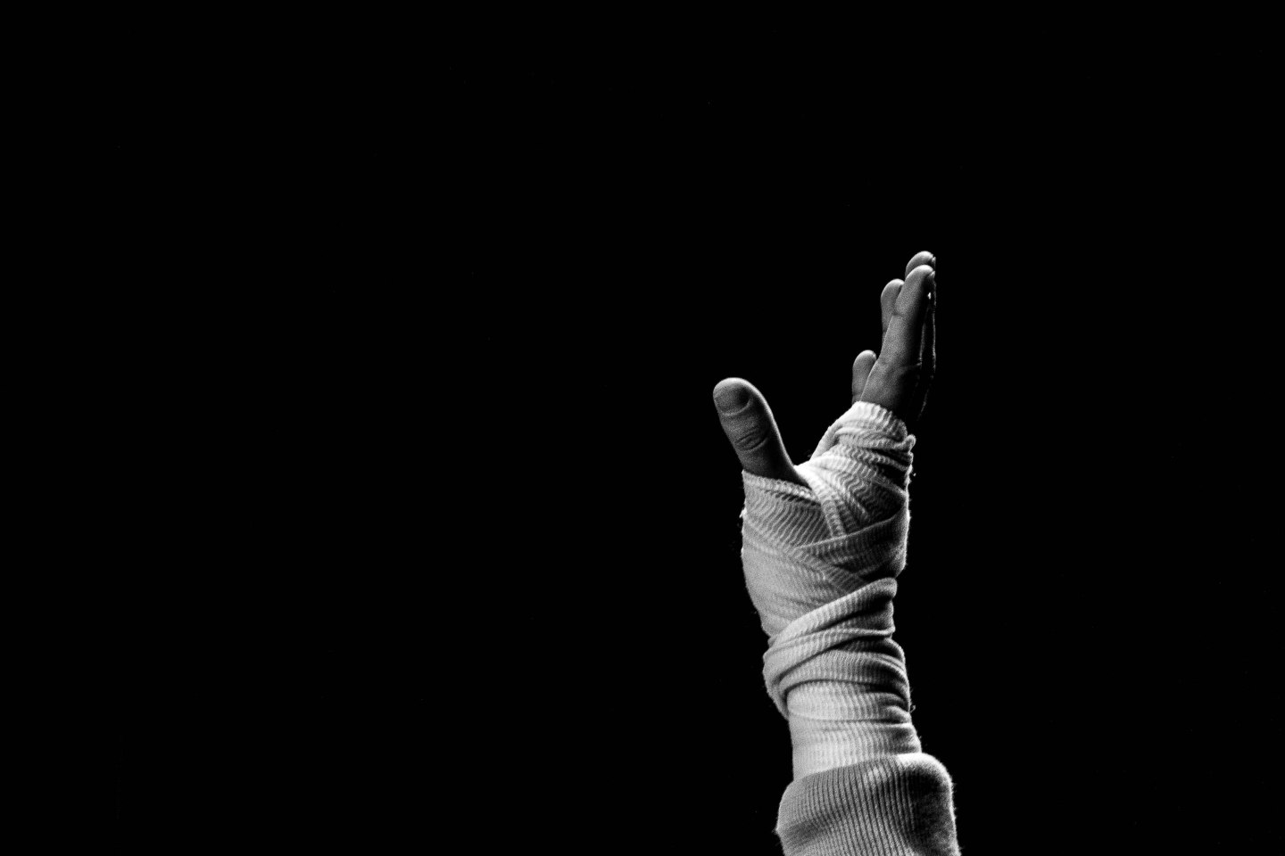 Fotografía: Darío Castro
